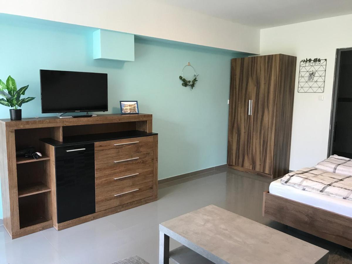 Апартаменты Tisza Gyongye Apartmanhaz Сегед Экстерьер фото