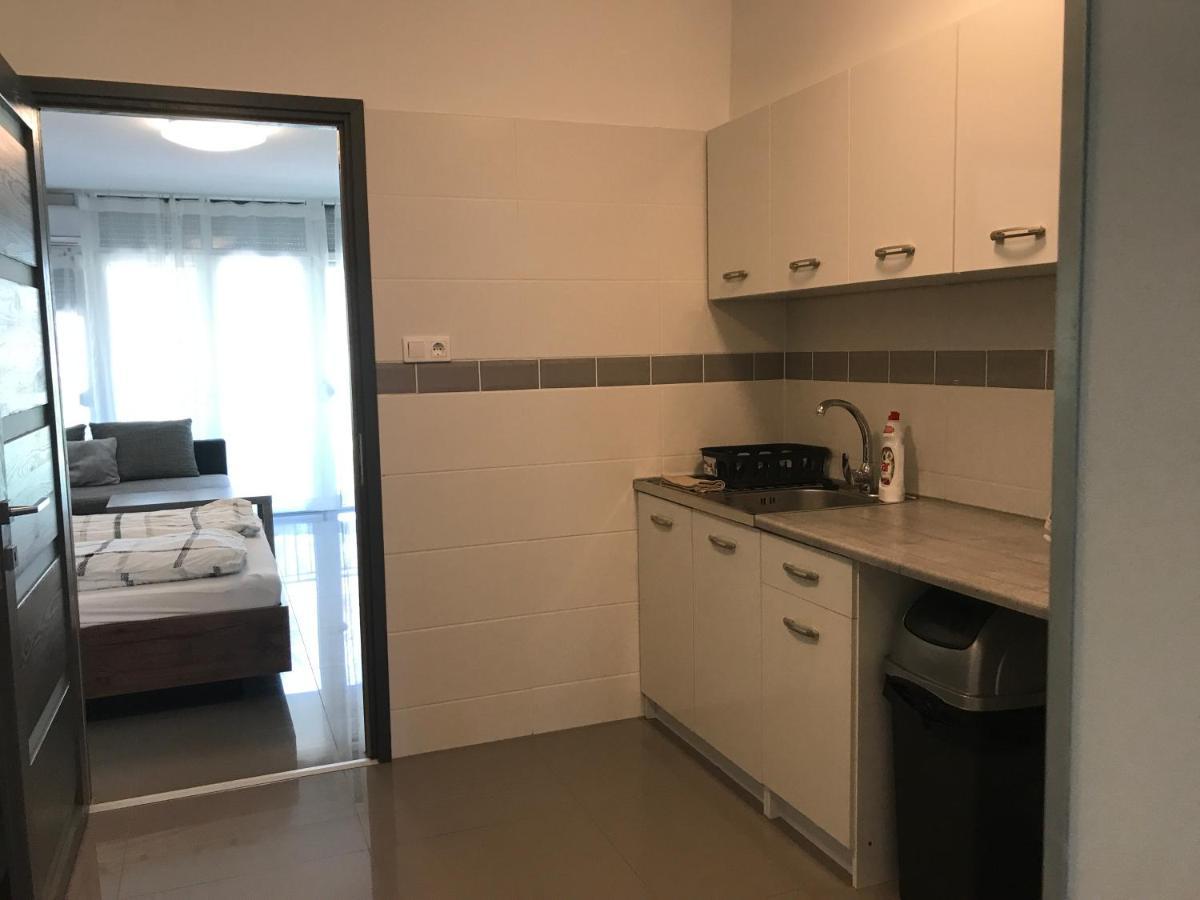 Апартаменты Tisza Gyongye Apartmanhaz Сегед Экстерьер фото